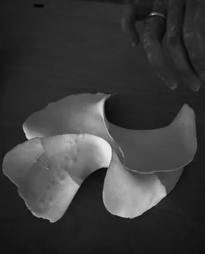 Black-and-white close-up photograph used in the Studio’s visual identity.